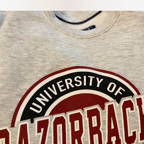 Russell Athletic Gray Razorbacks Men's Crewneck Sweater - Picture 5 of 5